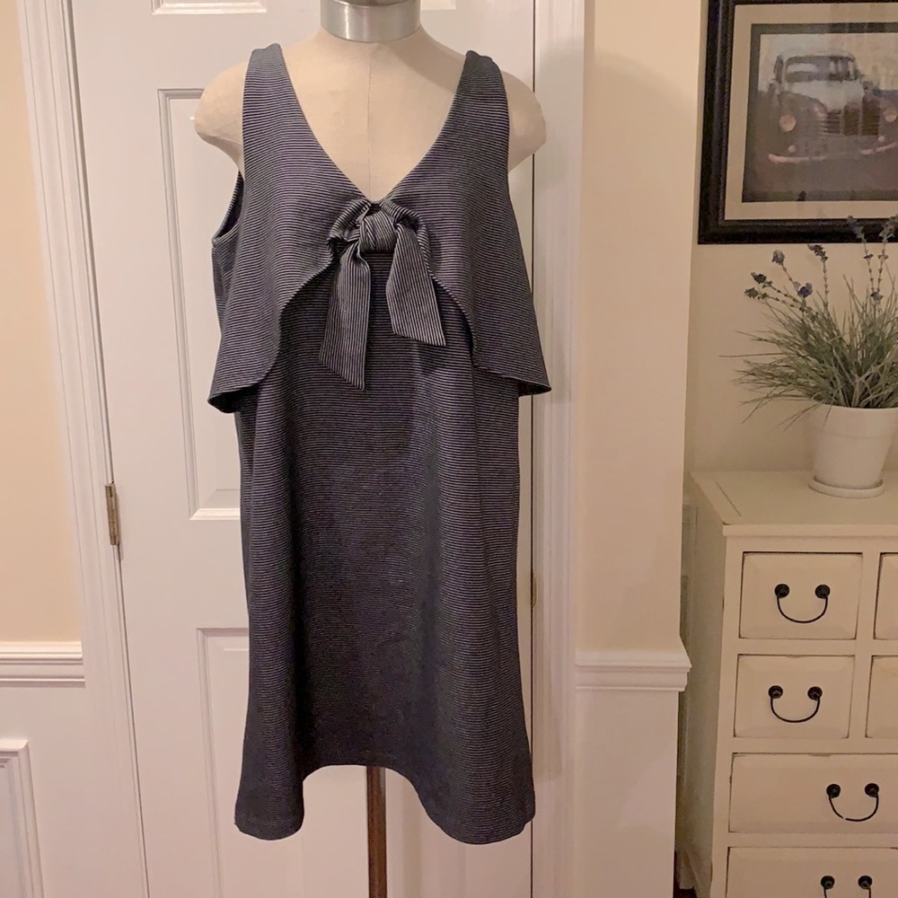 Cremieux woman’s sleeveless dress size L